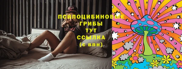 спиды Абаза