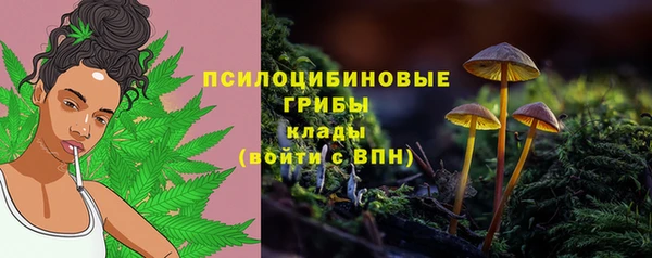 СК Абинск