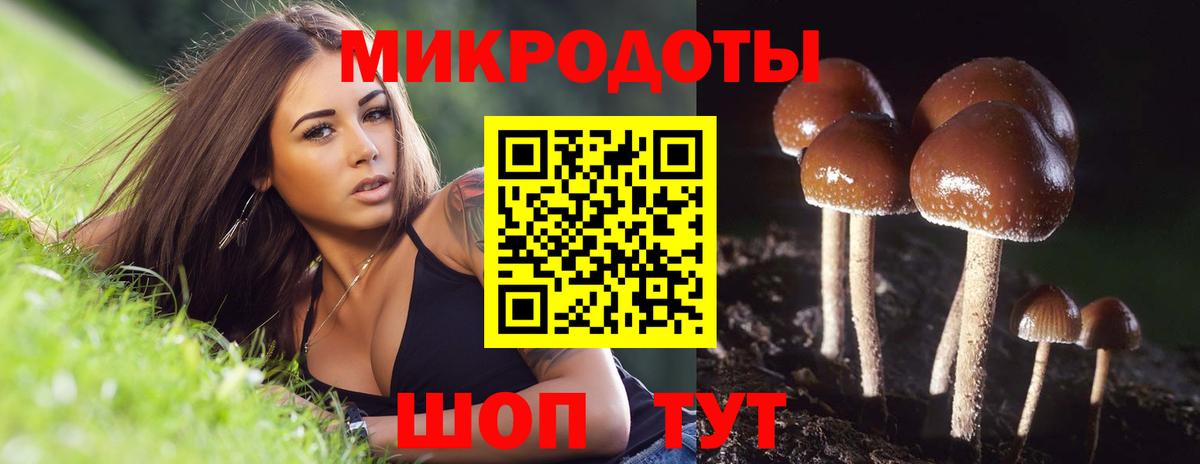 Галлюциногенные грибы ЛСД  Вход с VPN  Назрань 
